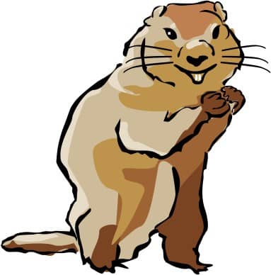 Groundhog in Color