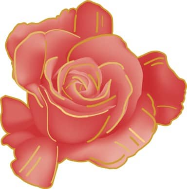 Rose Beginning to Open