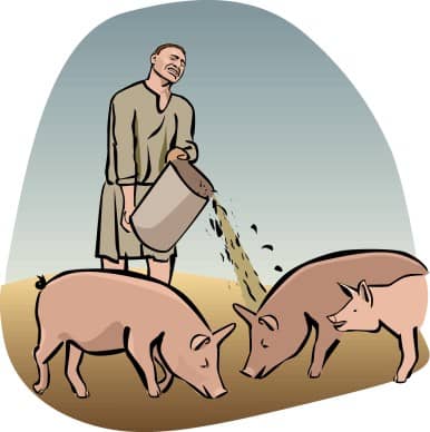 Prodigal Son Feeds Swine Clipart