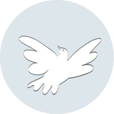 A Soaring Dove