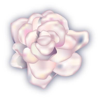 White Gardenia Corsage