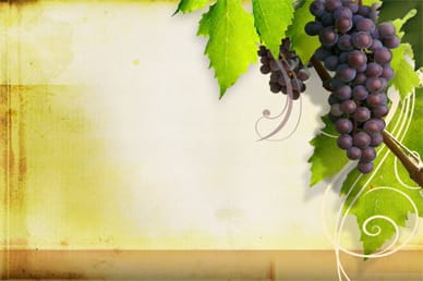 Grapevine Worship Video