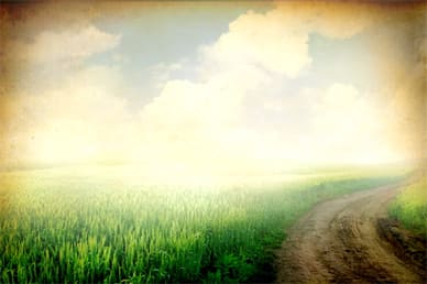 Green Field Worship Video