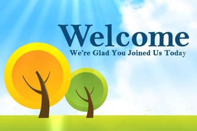 Trees Welcome Screen Video Loop