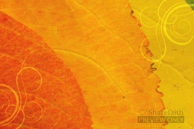 Autumn Worship Video Background