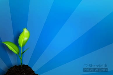 Seed in Fertile Ground Video Background