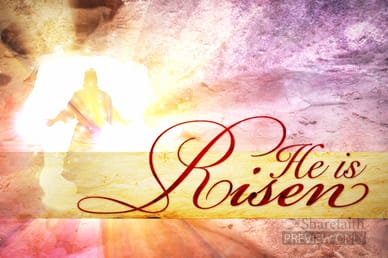 Is Risen Video Clip