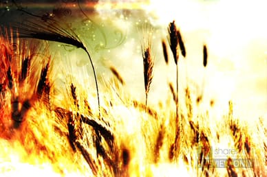 Worship Motion Backgrounds