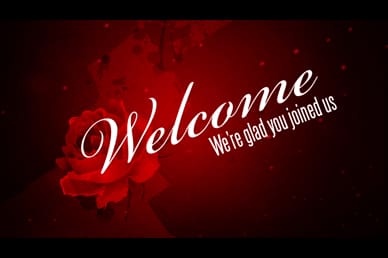 Valentine Day Rose Welcome Video