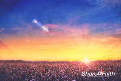 Harvest Worship Video Loop Background for Church