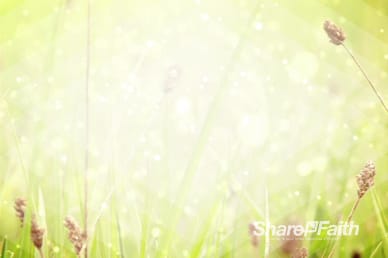 Resurrection Sunday He is Risen Worship Video Background