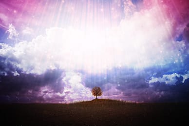 Tree Hill Worship Video Loop