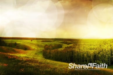 Orange Fields Ministry Background Video