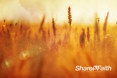 Bless the Lord Christian Worship Video