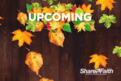 Fall Harvest Party Announcements Motion Loop