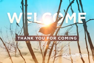 Free At Last Welcome Video Loop