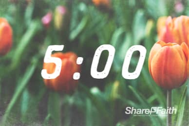 Spring Forward Tulip Countdown Video