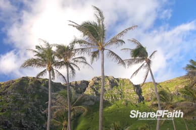 Swaying Palm Trees Worship Motion Background