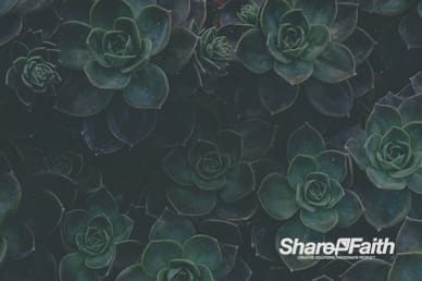 How Sweet The Sound Church Motion Background