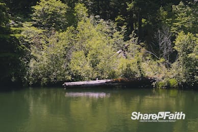 Log Creek Nature Motion Background
