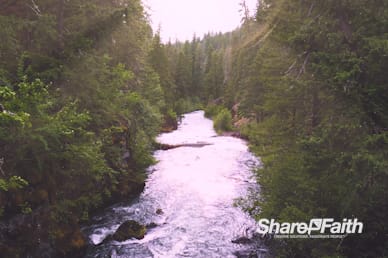 Sunlit River Nature Motion Background