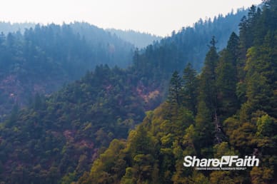 Misty Mountains Nature Background Video