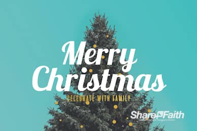 Christmas Tree Holiday Church Motion Graphic