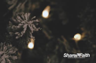 Frosted Christmas Tree Worship Video