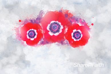 Remembrance Day Service Motion Background