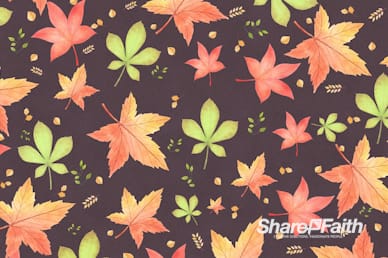 Happy Thanksgiving Holiday Background Motion Loop