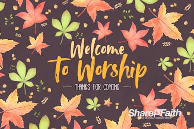 Happy Thanksgiving Holiday Welcome Motion Loop