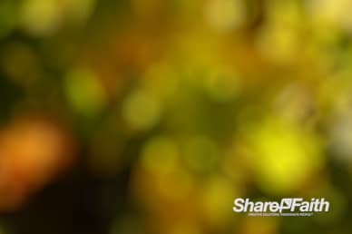 Yellow Bokeh Motion Background