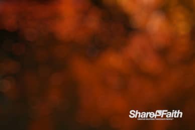 Orange Bokeh Motion Background