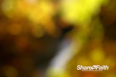 Deep Yellow Bokeh Motion Background