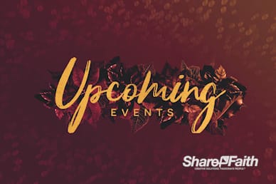 Merry Christmas Holly Announcements Motion Graphic