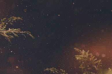 Very Merry Christmas No Text Church Motion Graphic