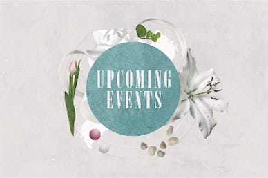 Easter Sunday Lily Upcoming Events Motion Graphic