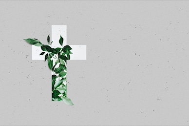 Communion Sunday Cross No Text Church Video