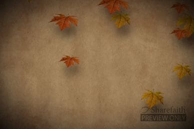 Autumn Leaves Falling Church Video Loop