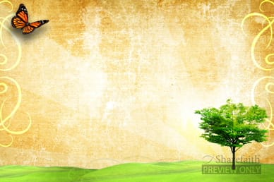 Butterfly and Tree Spring Video Background