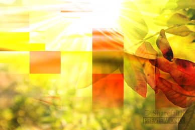 Creation Background Video