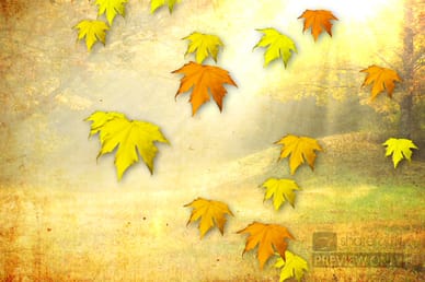 Falling Leaves Church Video