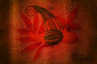 Thanksgiving Harvest Worship Video Loop