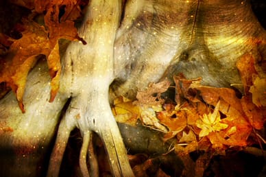 Thanksgiving Fall Photo Worship Video
