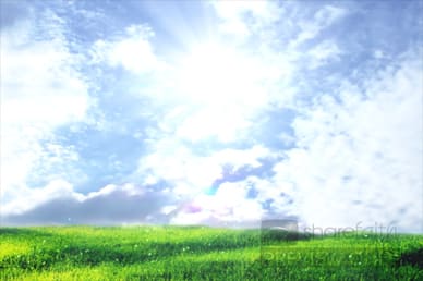 Nature Motion Video Loop