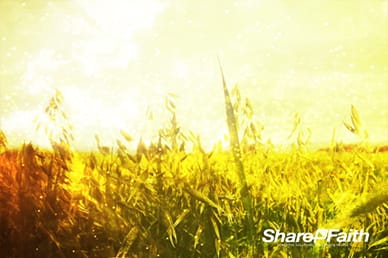 Abstract Autumn Fields Religious Video Loop