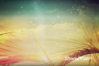 In Remembrance of Me Religious Worship Video Loop