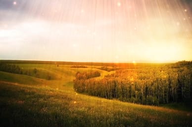 Sun Rays Nature Ministry Video Background Worship Loop