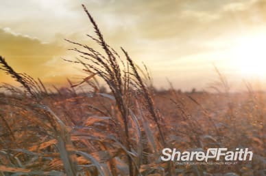Sunset Field of Worship Video Loop