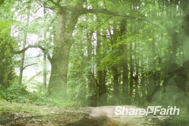 Worship in the Woods Ministry Worship Video Loop